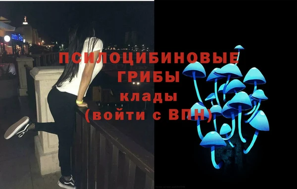 соль ск Заволжск