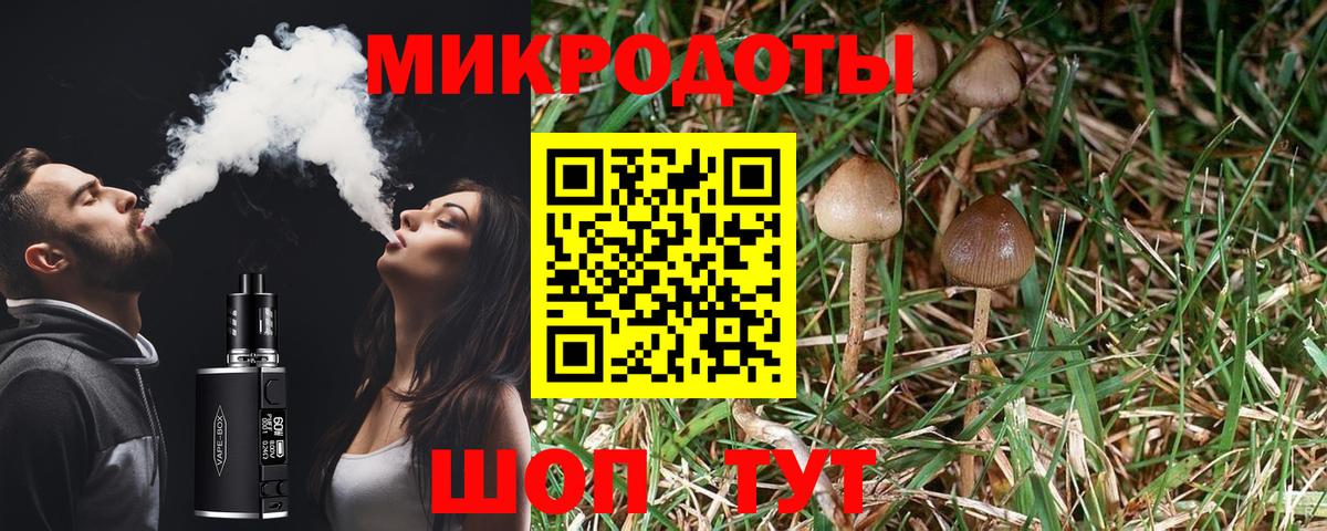 купить  цена  Псилоцибиновые грибы мицелий  Вход с VPN  Североморск 